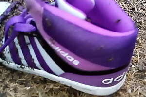 Adidas against ants part 4 ( After 4 generation )