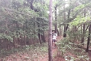 A stroll through the woods