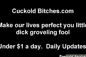 You are nothing but a useless cuckold slave